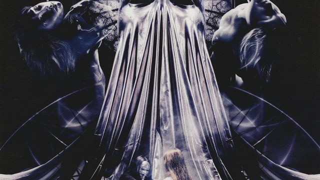 Notre-Dame de Paris / Invisible Bodies