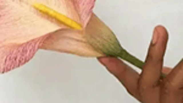Flower Making Workshop