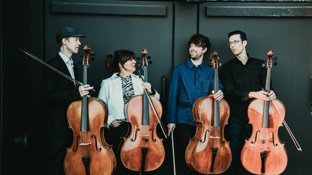 Cellofest: Metrocelli