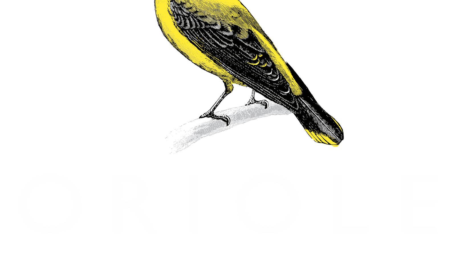 ORIOLE IS CLOSED ON SUNDAYS and Mondays