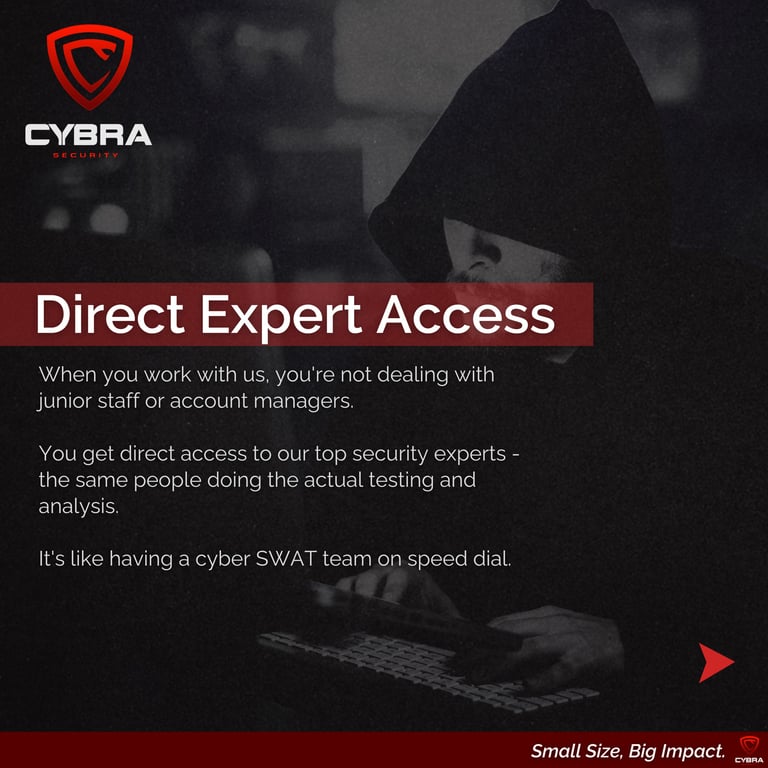Cybra Security carousel slide 5