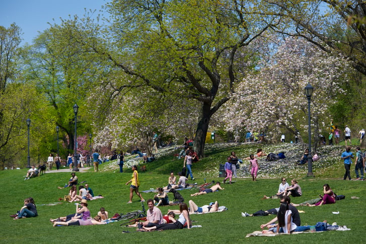 People lounging in the sun in Prospect Park