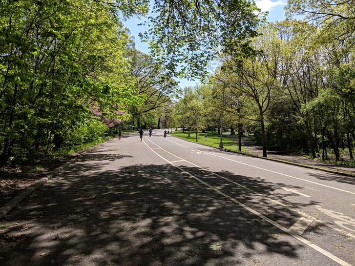 A view of the main roadway in Prospect Park