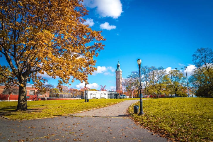 A walking path in Highbridge Park, with the park's water tower in the distance