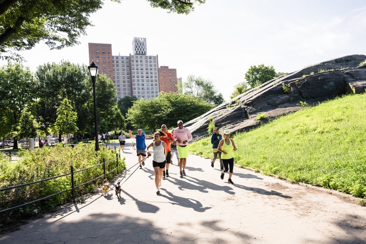 Group of runners running in a park on a sunny day