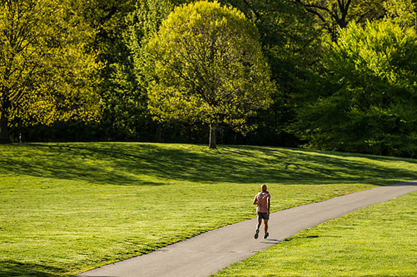 Runner in Prospect Park landscape