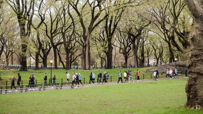 Runners at the Retro 4-Miler