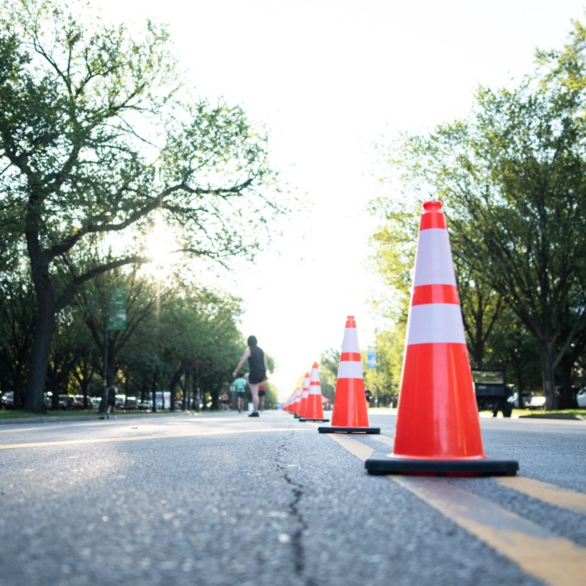 SLS BK traffic cones
