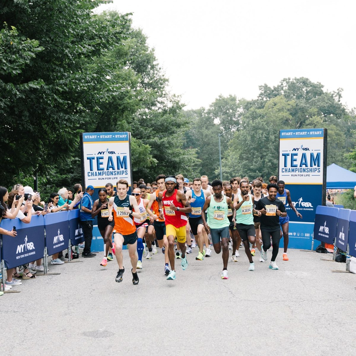 Participants starting the run