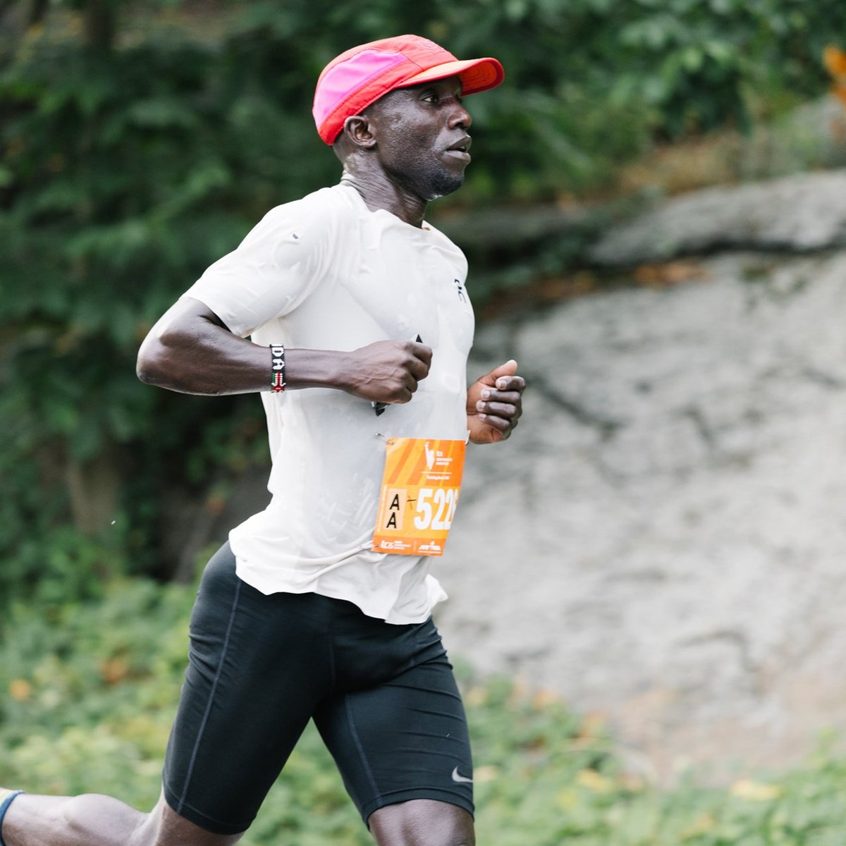 12M participant