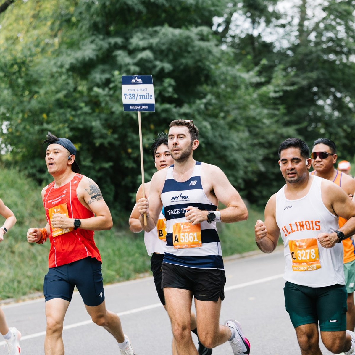 12M participants