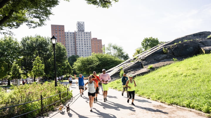 Group of runners running in a park on a sunny day