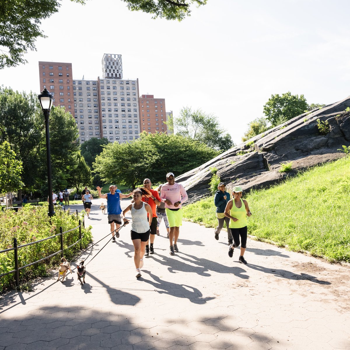 Group of runners running in a park on a sunny day