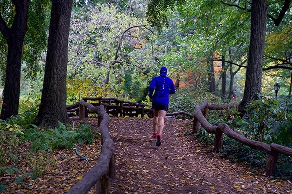 Runner in Central Park landscape from behind
