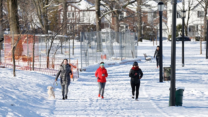 Runners and dog in snow in Cunningham Park