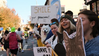 Dog with owner and sign