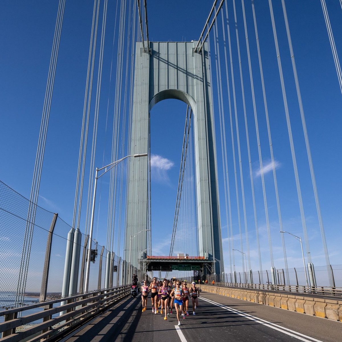 Pro Athletes at the 2025 TCS New York City Marathon
