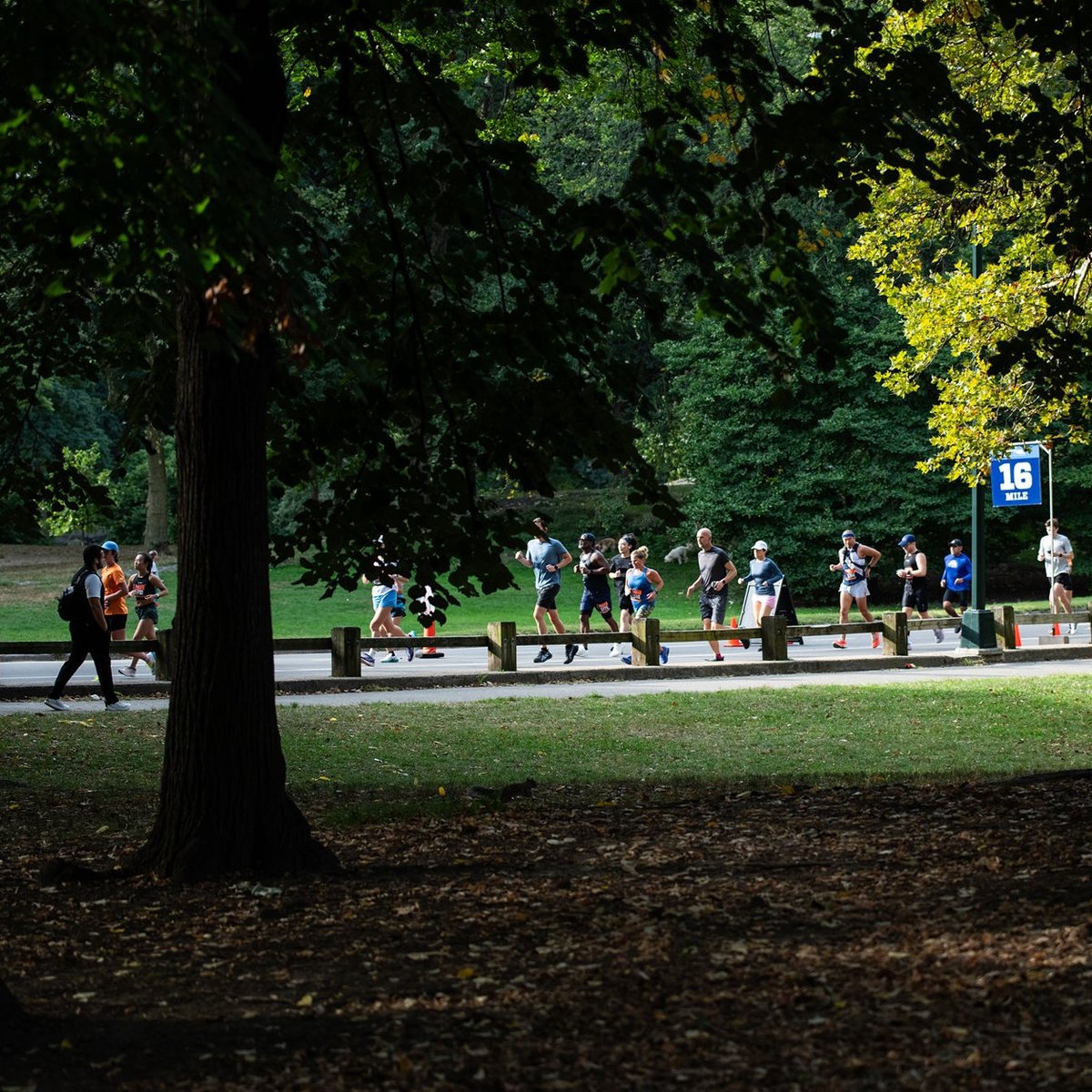 TCS New York City Marathon Training Series 18M