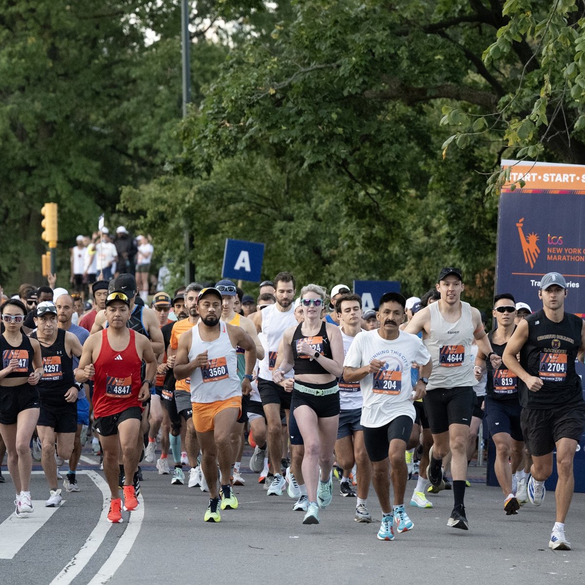 TCS New York City Marathon Training Series 18M