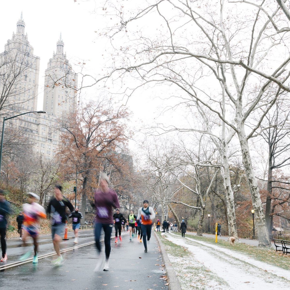 2025 NYRR Ted Corbitt 15K