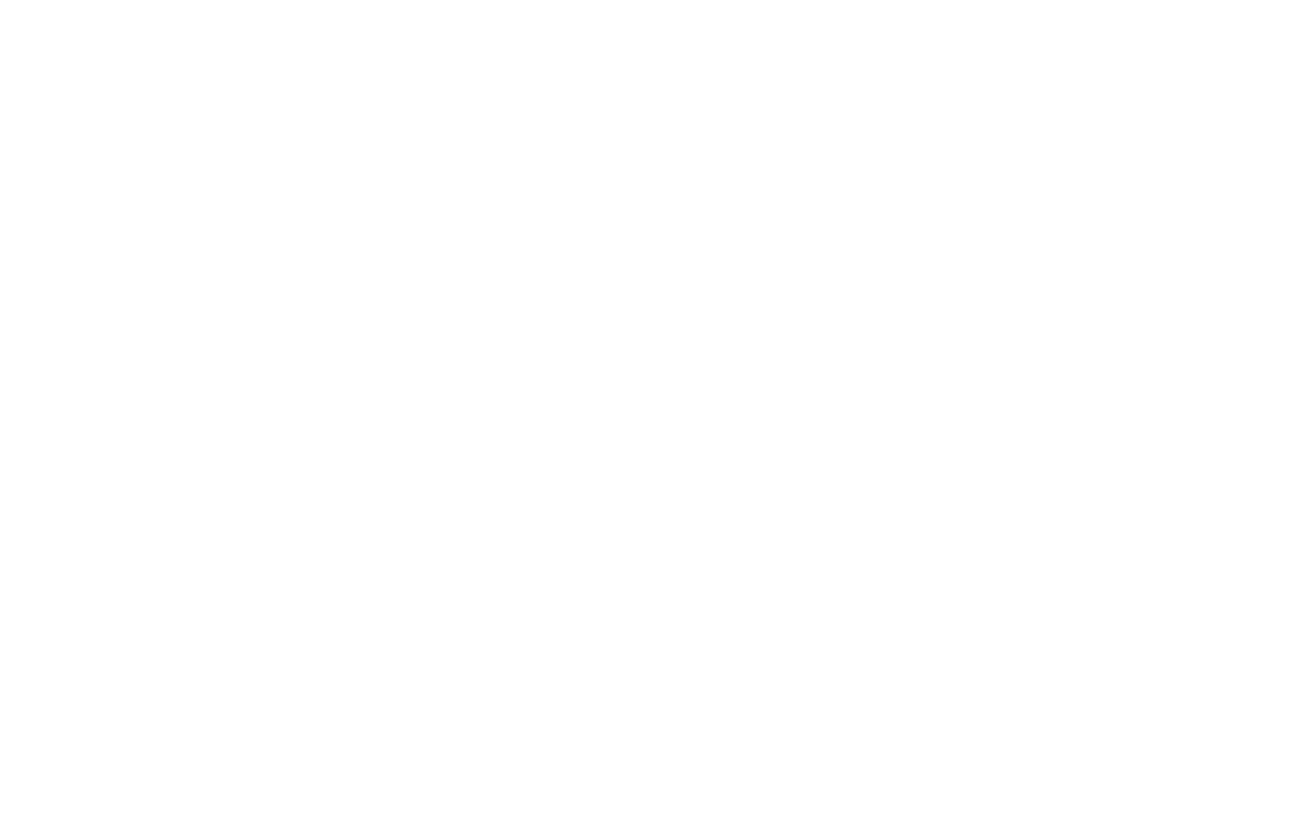 NYRR Team for Climate logo