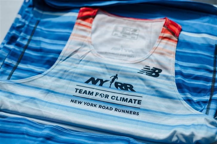 Team for Climate Stripes