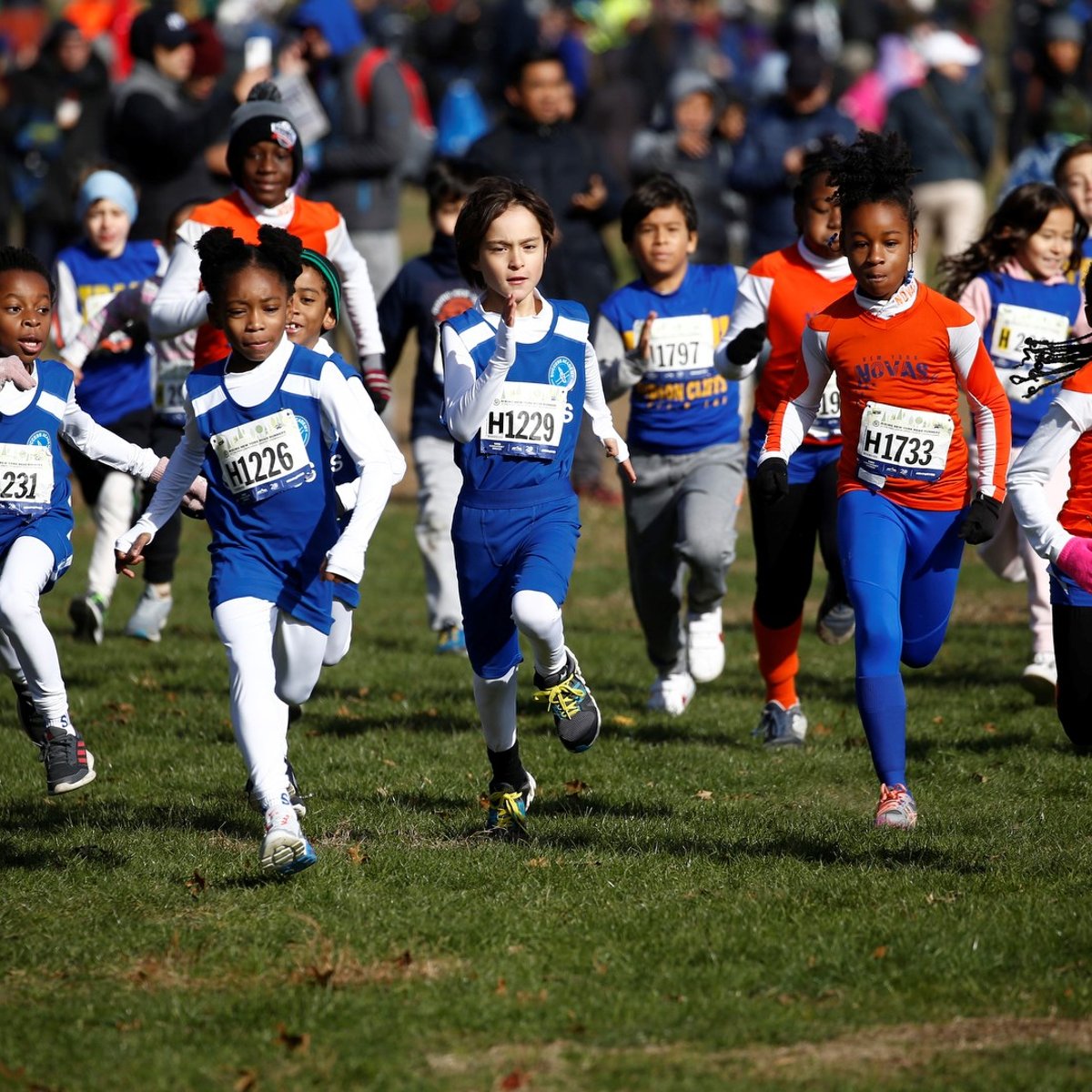 RNYRR at the Fred Lebow Cross Country Championships
