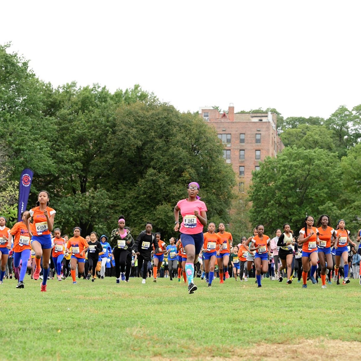 RNYRR at Harry Murphy Cross Country