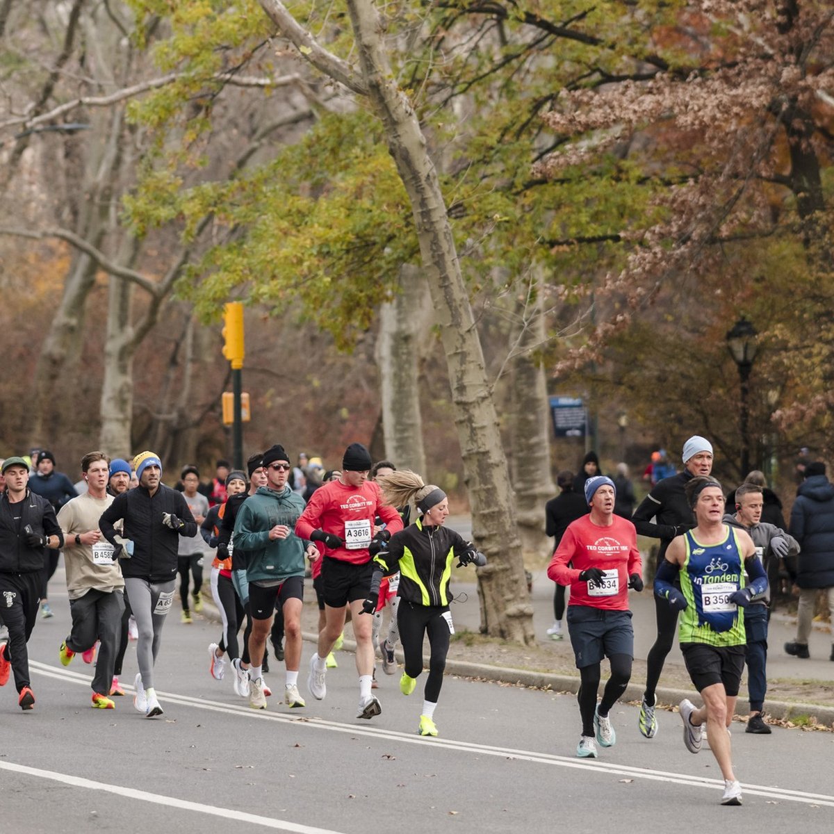 2024 NYRR Ted Corbitt 15K