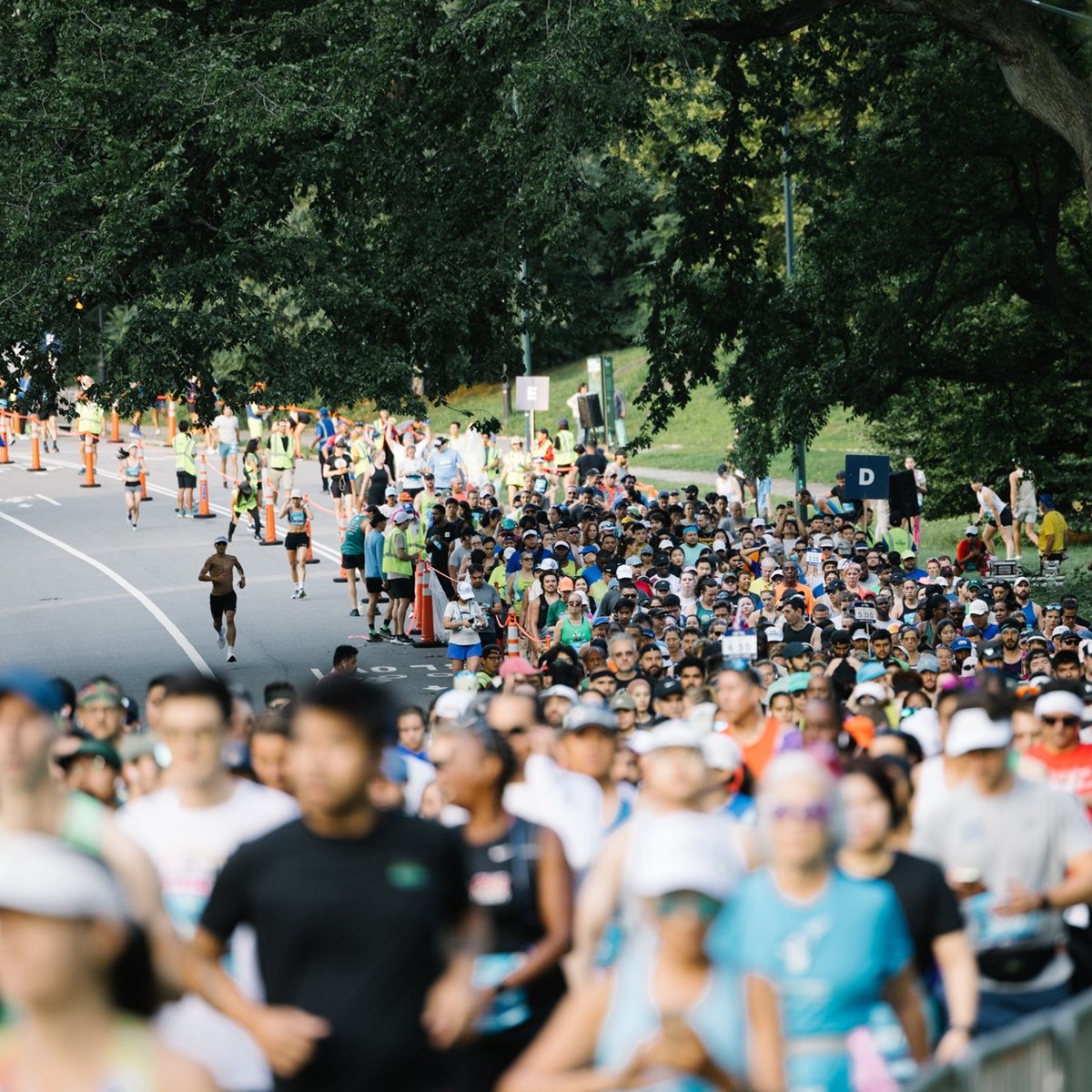 2024 TCS New York City Marathon Training Series 10M
