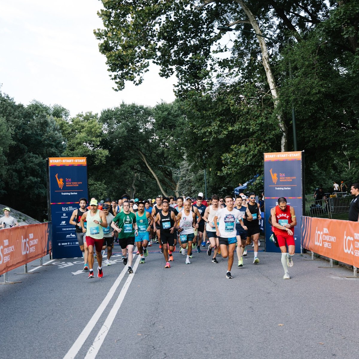 2024 TCS New York City Marathon Training Series 10M