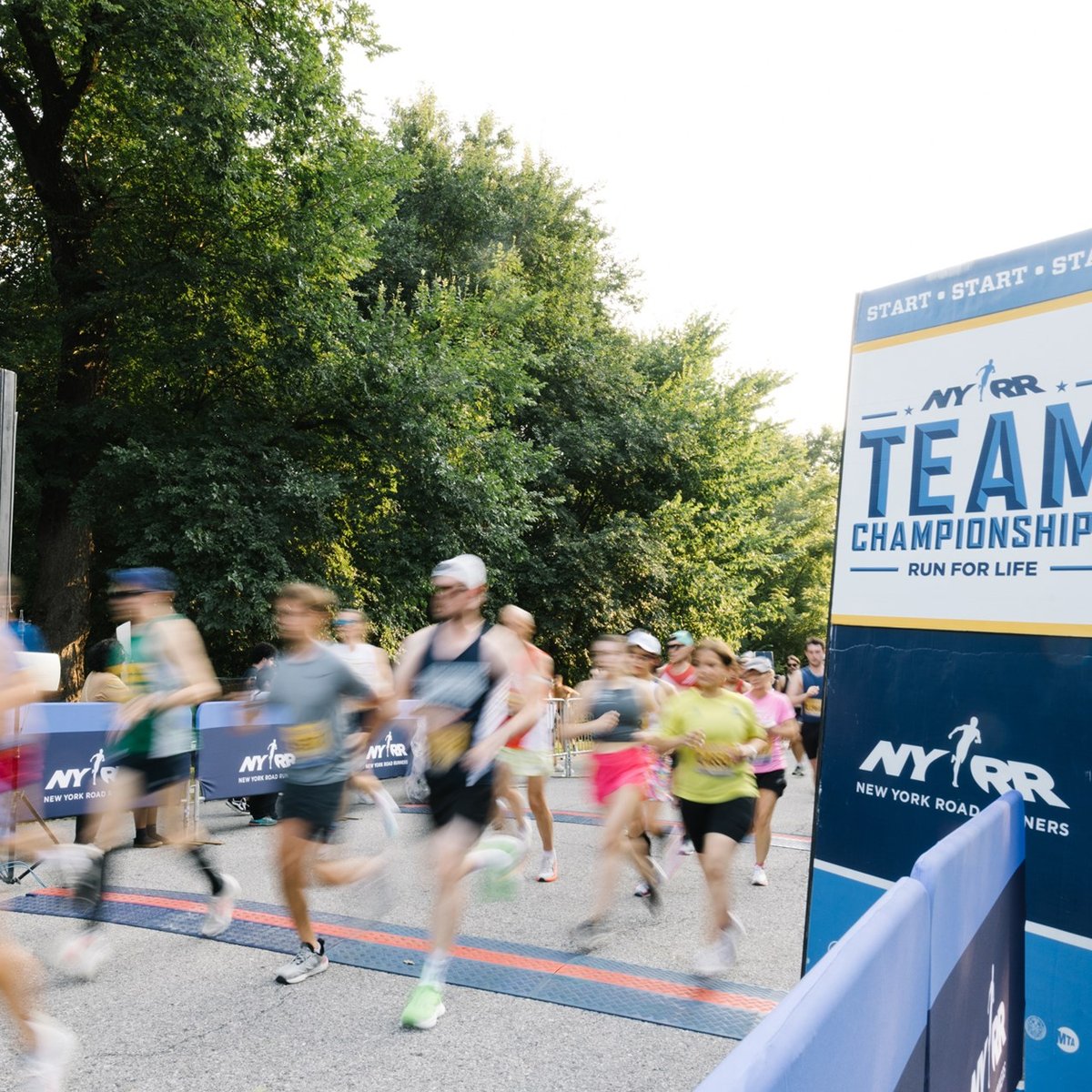 2024 NYRR Team Championships 5M