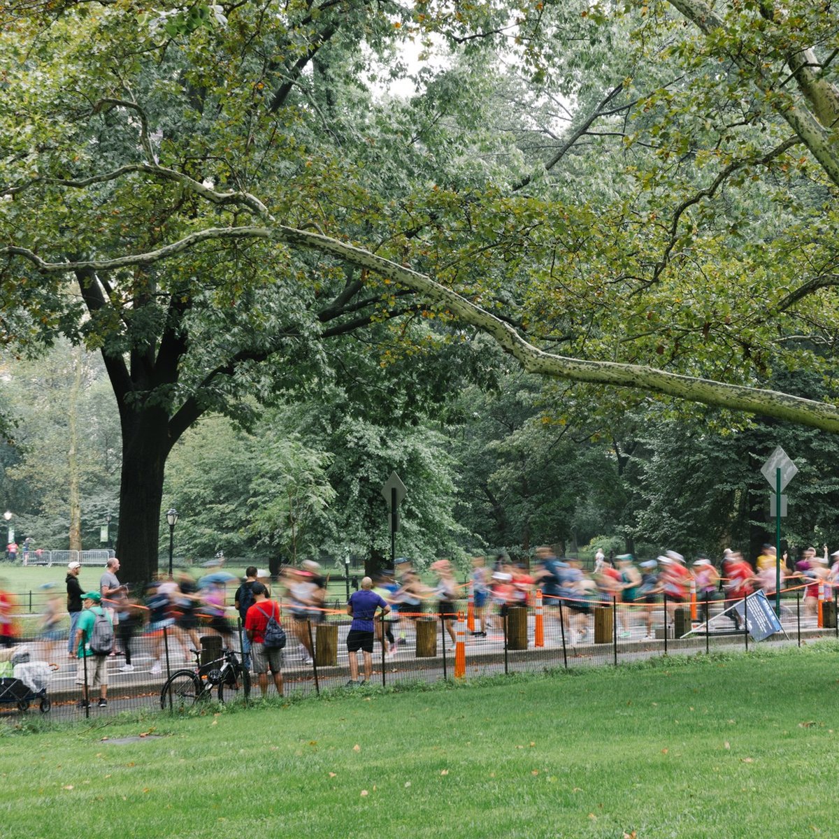 2023 NYRR Gretes Great Gallop 10K