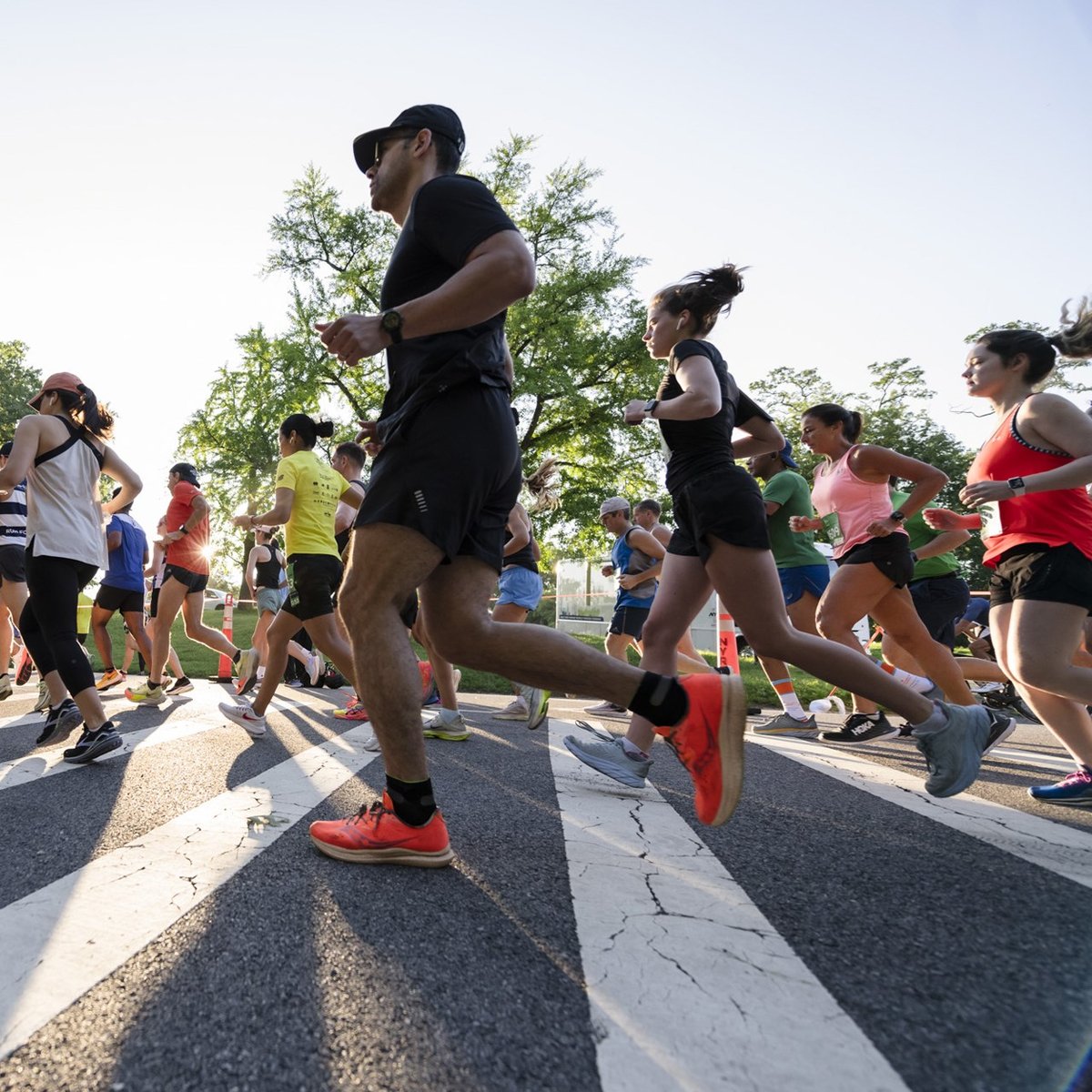 2023 TCS New York City Marathon Training Series 12M