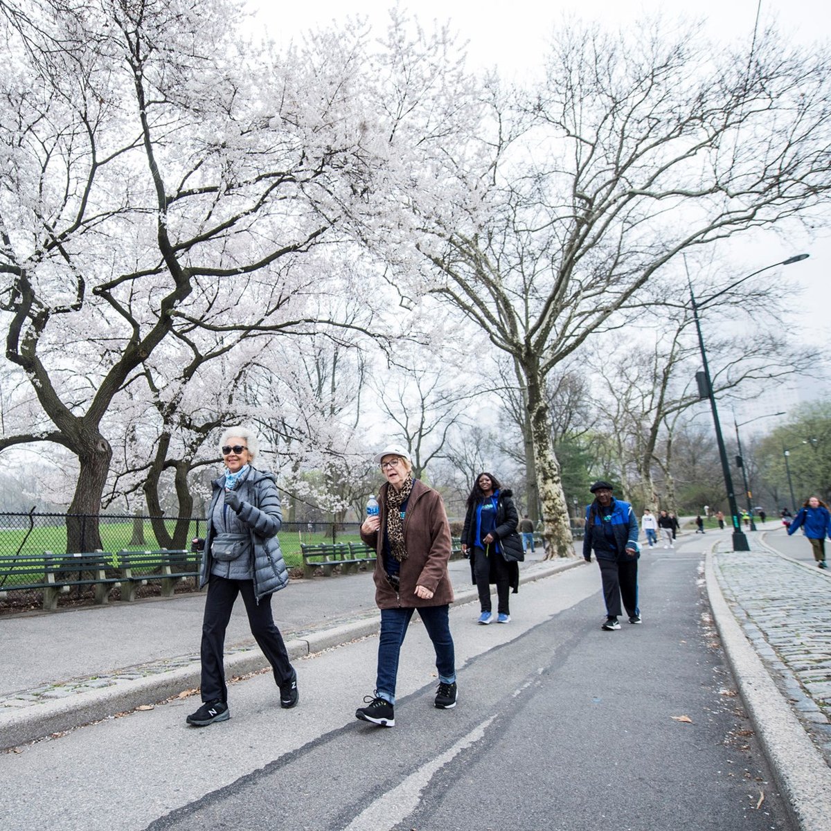 NYRR Striders Walk 100 Miles on National Walking Day