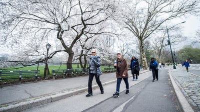NYRR Striders Walk 100 Miles on National Walking Day