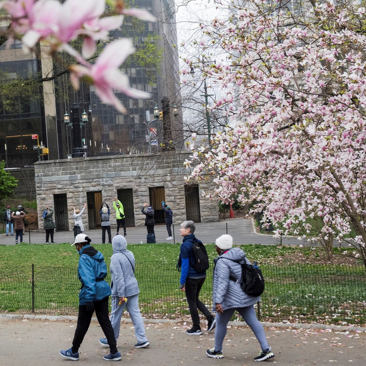 NYRR Striders Walk 100 Miles on National Walking Day