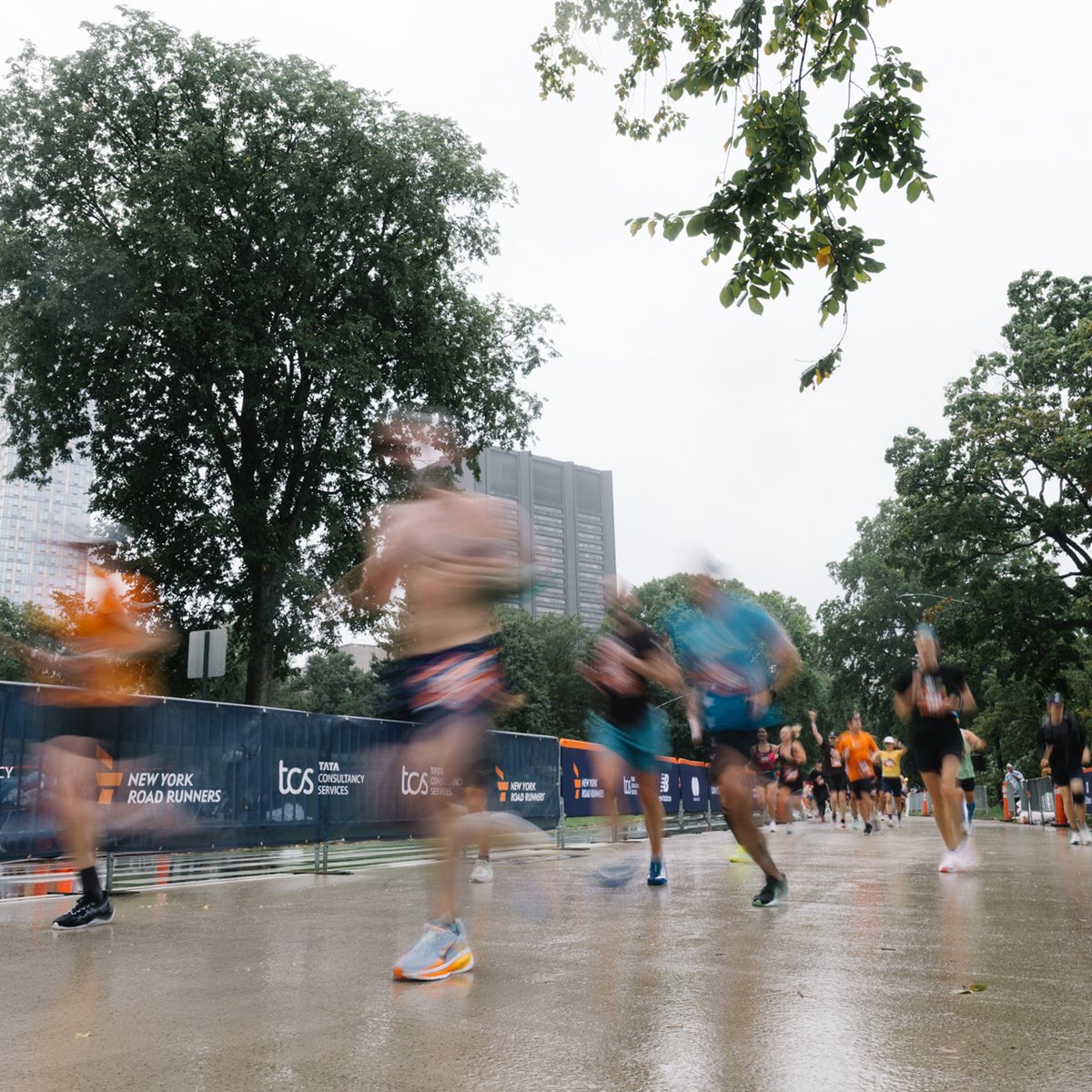 TCS New York City Marathon Training Series 18M