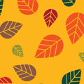 Pattern of colorful leaves