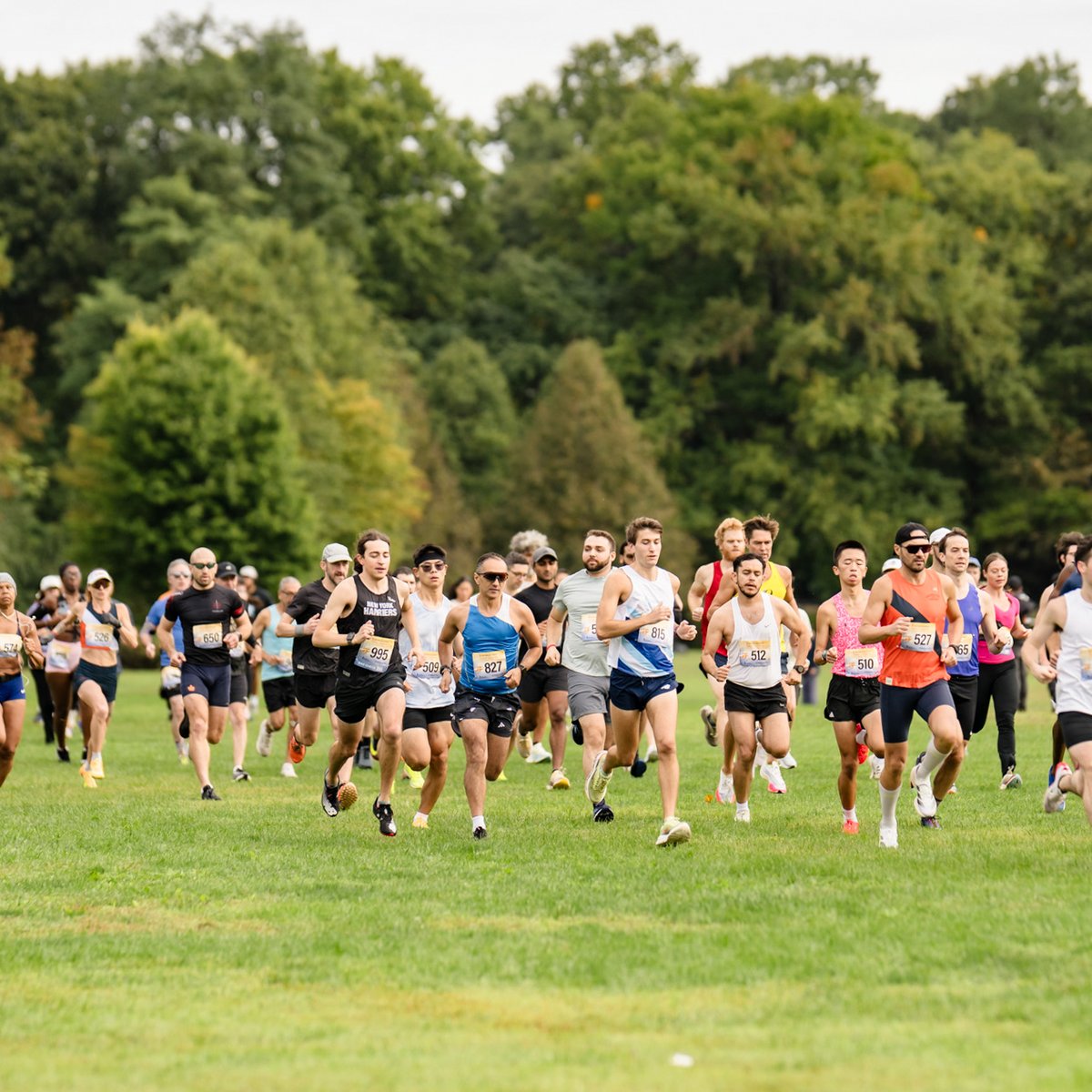 NYRR Cross Country Series #2