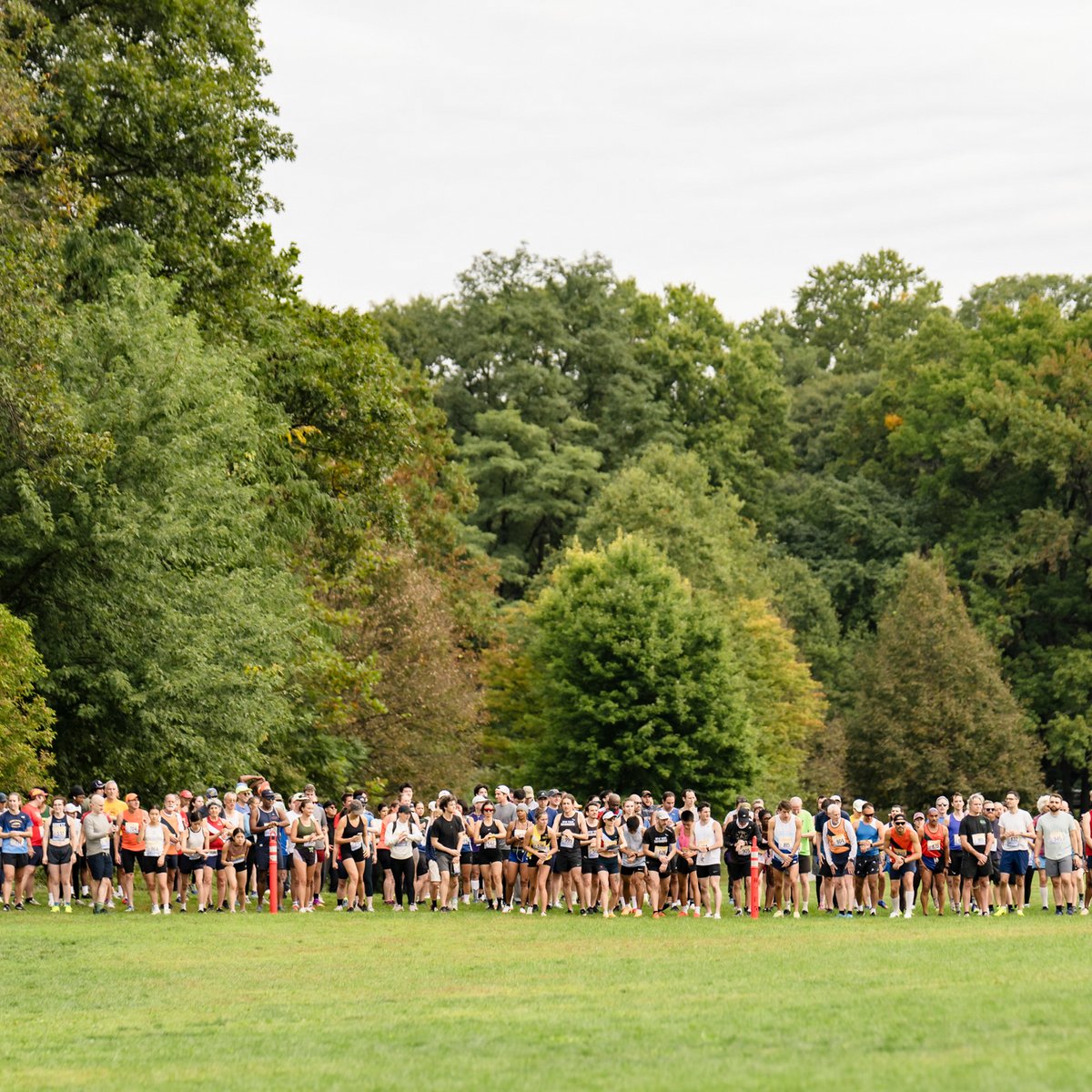 NYRR Cross Country Series #2