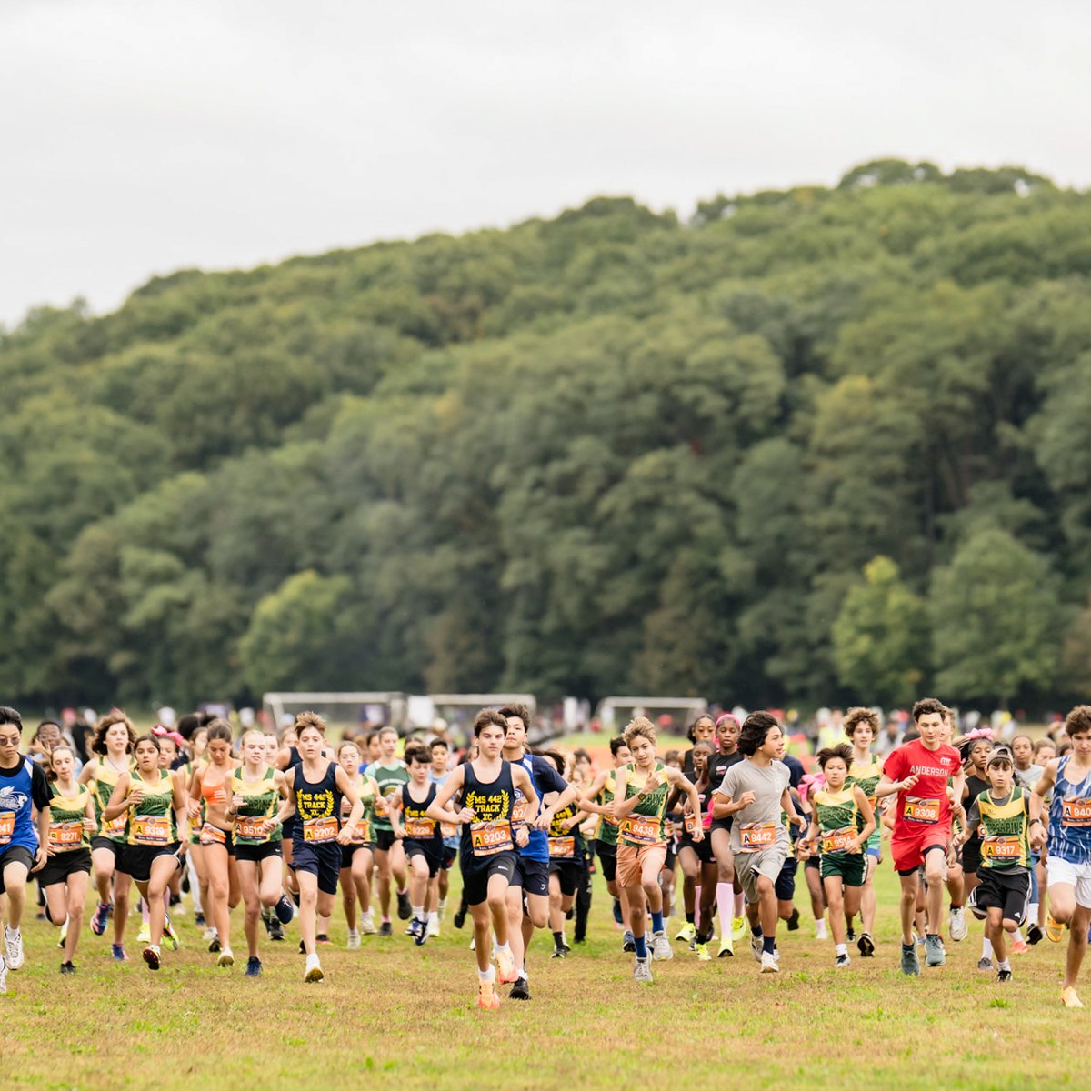 NYRR Cross Country Series #2