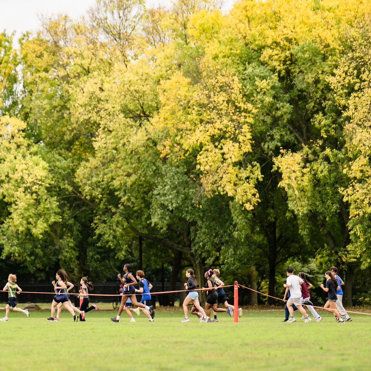 NYRR Cross Country Series #2