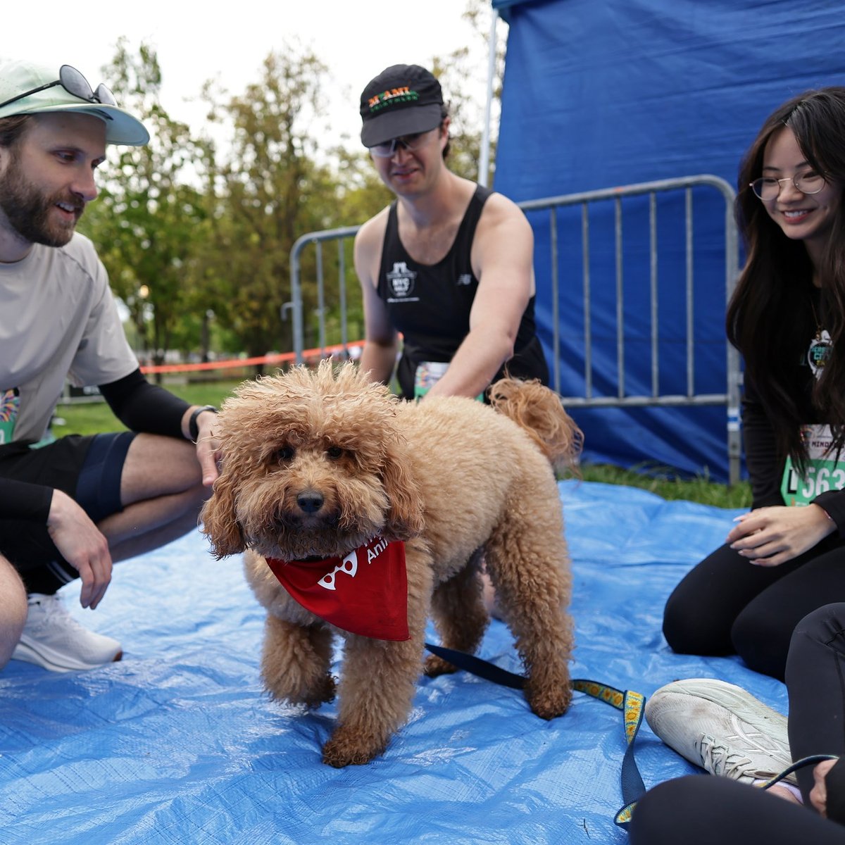 2026 NYRR Mindful 5K