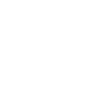 NYRR Start Line Series - The Bronx Logo (dark)