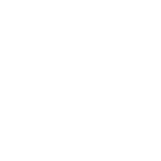 NYRR Team Champs 5M Logo (dark)