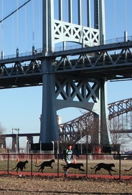 Ditmars Dashers