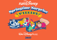 Team for Kids runDisney Springtime Surprise logo