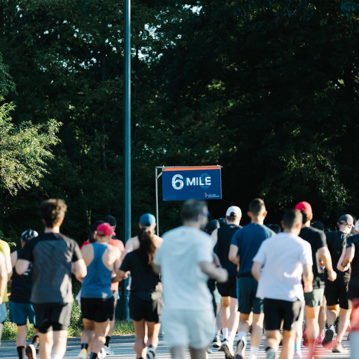 2026 TCS New York City Marathon Training Series 12M