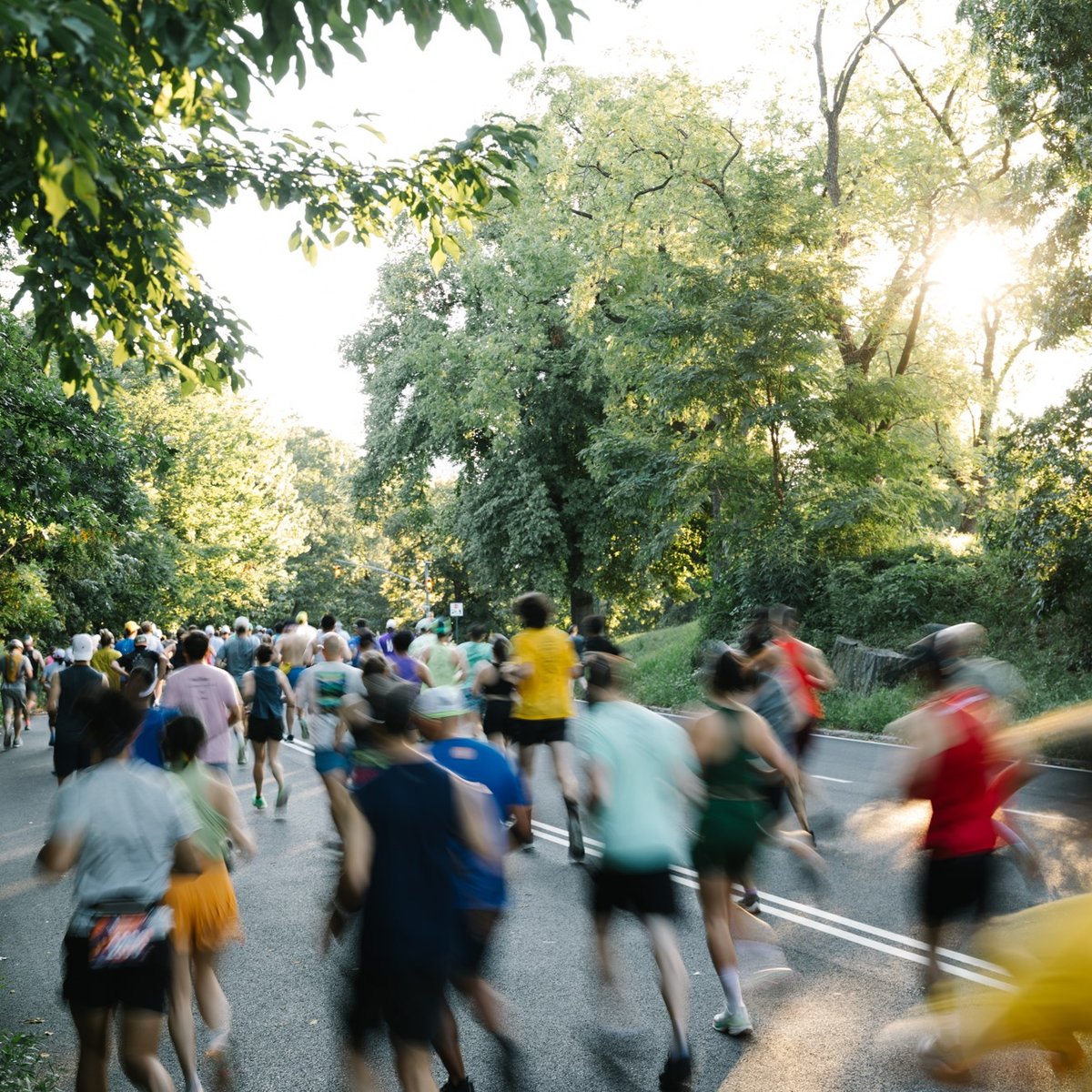 2026 TCS New York City Marathon Training Series 12M